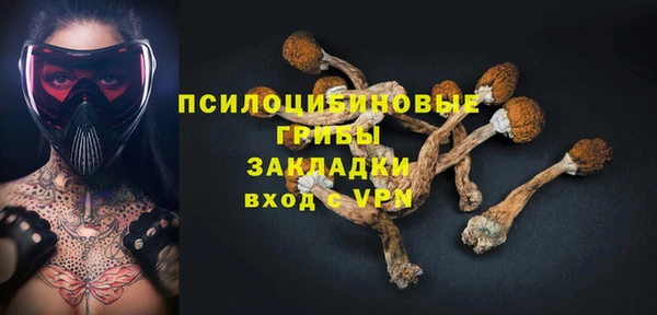 спиды Алзамай