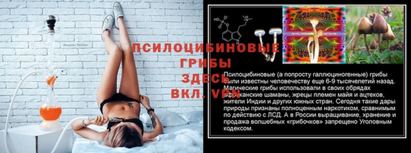 спиды Алзамай
