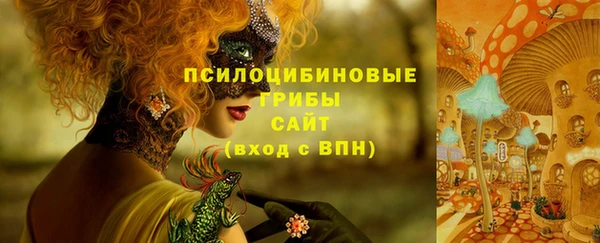 Альфа ПВП Алексин