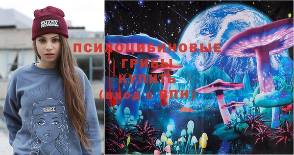 спиды Алзамай