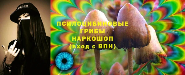 ECSTASY Алексеевка