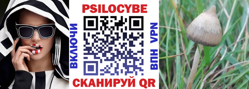 kraken ONION  Ковылкино  Псилоцибиновые грибы мухоморы 